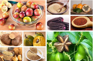 PERU…SUPERFOOD PARAÍSO