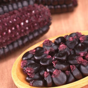 Maiz Morado
