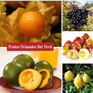 ¿Qué son los SÚPER FOODS?